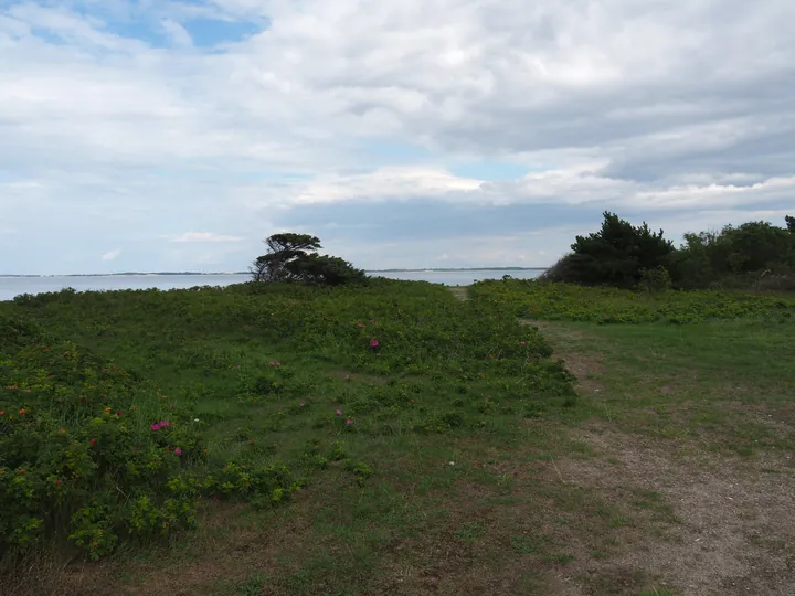 Halshuisene + Enebaerodde Beach (Denemarken)